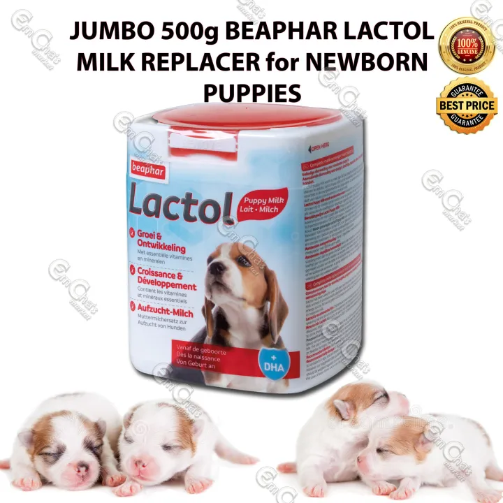 Milk replacement for newborn puppies best sale