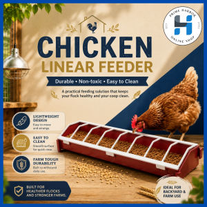 Poultry Feeder 12 inches/Linear Feeder for chicken 8 Holes