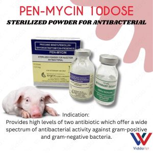 Pen-Mycin Sterile Powder gamot para sa ubo at sipon ng alagang hayop