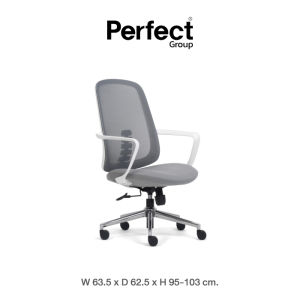 Perfect เก้าอี้คอม DRAGONFLY SERIES รุ่นพนักพิงกลาง เก้าอี้ทำงานเพื่อสุขภาพ เก้าอี้สำนักงาน Ergonomic Chair