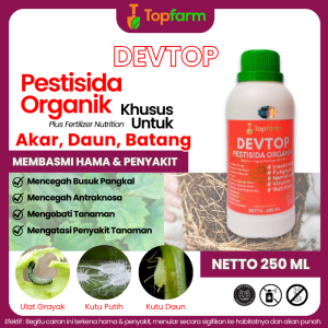 Obat Pembasmi Hama Akar / Obat Hama Akar Tanaman / Obat Hama Akar / Obat Hama Batang Labu Siam / Obat Hama Batang / Obat Hama Ulat Dalam Batang Padi / Obat Hama Ulat Batang Pohon