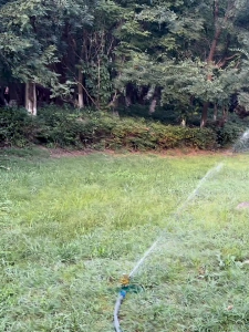 Durable Zinc Alloy Pulsating Sprinkler with Automatic Rotation Full Coverage Watering Tool for Large Area Watering