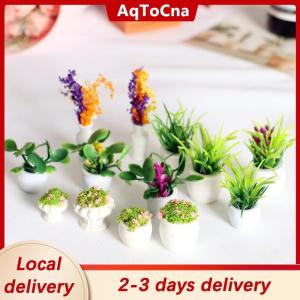 [COD] AqToCna Ship within 24 hours 12 Style 1:12 Dollhouse Mini Plant Pot Eco-friendly Resin Home Decor Accessoires