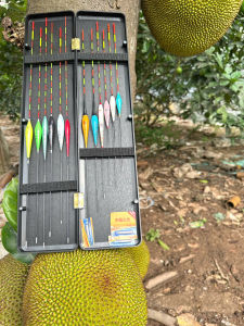 COMBO HỘP PHAO KÈM 10 CÂY NGÀY 2 CÂY ĐIỆN KÈM PIN BỘ PHAO CHÉP RÔ GIÁ BÌNH DÂN