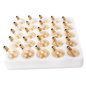 Genixgreen 25 Packs E12 LED String Light Bulb 1W Outdoor Replacement Led Bulbs 220V Warm White 2200K LED Lamps Replace G40 7W Incandescent Bulbs