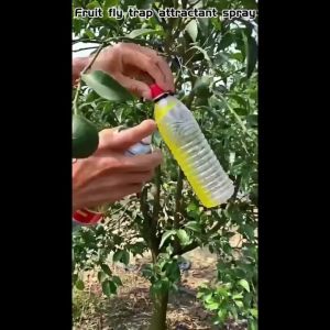 Fruit fly trap Attractant spray 450ML Supernet insect trap Rain-proof Fly trap killer BAC