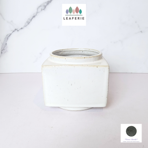 The Leaferie Aubree Square flowerpot flowerpots flower pot planters planter pots . plant . ceramic