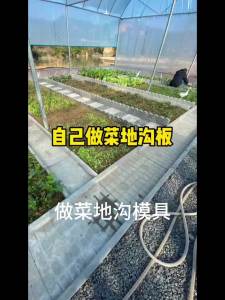 Vegetable Trench Mold New Five-Generation New Rural Construction Courtyard Back Garden Pedal Stone Homemade Cement Plastic Model