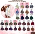 NHUỘM TÓC MÀU XANH ĐEN- nhuộm tóc màu xanh dương đen màu nhuộm Kami  100ML  GỒM TRỢ NHUỘM. 