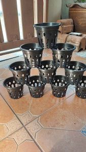 กล้วยไม้ 4.5 นิ้ว แพ็คละ 10 ใบ ราคาถูก กระถางกล้วยไม้ 4.5 นิ้ว แพ็คละ 10 ใบ