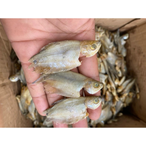 COD ikan asin sepat kecil/ikan betok/ikan sepat bakrik 1 kilo murah gratis ongkir