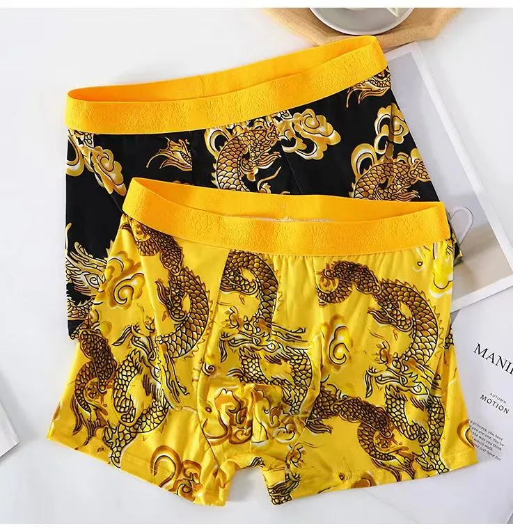 Stylish Dragon Print Men's Boxer Briefs Underwear Comfortable and