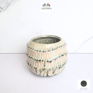 The Leaferie Cole plant pots. flowerpot . flowerpots . flower pot . planter . planters . Ceramic