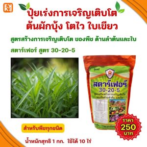 ต้นผักบุ้ง โตไว ใบเขียว แข็งแรง ด้วยปุ๋ยสตาร์เฟอร์ 30-20-5 สูตรสร้างการเจริญเติบโต ด้านลำต้นและใบ