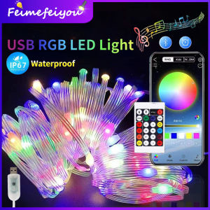 Bluetooth Voice control usb LED Strip Light RGB Waterproof Flexible Ribbon blinking fairy lights Sync to Music 5M 10M with remote control decoration lighting for room
