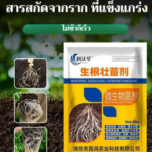 ยาเร่งรากและส่วนเสริมการเจริญเติบโตของพืชที่เน้นใช้สำหรับผัก อาหารเสริมรากและส่วนเสริมการเจริญเติบโตของพืชสำหรับผัก