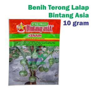 10 gram benih kenari terong lalap hijau bulat bintang asia bibit sayur unggul hidroponik konvensiona