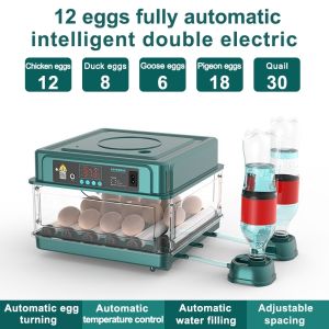 GREENPETS Automatic Intelligent Egg Incubator 12V/220V Dual Power Auto Temperature Control Auto Turner Auto Water Refill Egg Hatcher for Chicken Duck Quail Eggs