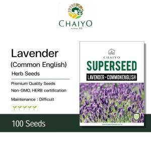 Lavender (Commonenglish) Herb Seeds  100 Seeds