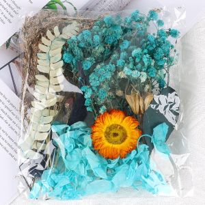 Handmade Eternal DIY Photo Frame Dry Flower Material Bag Indoor And Outdoor Decorations For Holiday Parties