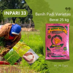 BIBIT BENIH PADI VARIETAS INPARI 33 ORIGINAL SARI INTAN 25 KG