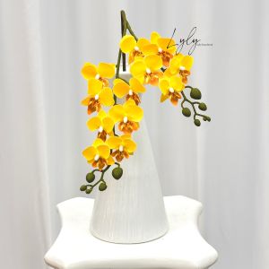 Cành lan hồ điệp cao su cao cấp cánh mềm ướt siêu thật đẹp. Hoa Lụa Decor