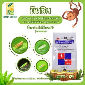 มิพซิน ขนาด 1 กิโลกรัม ไอโซโพรคาร์บ (isoprocarb) 50% WP กำจัดเพลี้ยกระโดดสีน้ำตาล เพลี้ยกระโดดหลังขาว เพลี้ยจักจั่นสีเขียว