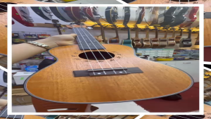 Đàn UKULELE G-DANUBE size 2( Concert 23 inch) màu gỗ