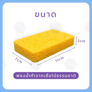 ฟองน้ำล้างแก้ว ล้างจาน ทำจากเยื่อไม้ เนื้อนุ่มฟองเยอะ ขจัดคราบได้หมดจด ไม่เป็นรอย