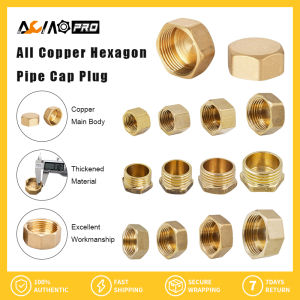 AumoPro 1pc Copper 1/8" 1/4" 3/8" 1/2" 3/4" BSP Male/Female Thread Brass Pipe Hex Head End Cap Plug Fitting Coupler Connector Adapter Hexagon Socket Plugs
