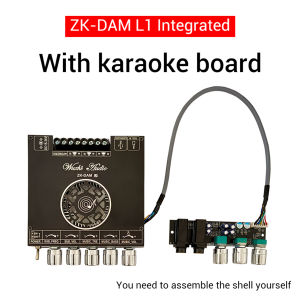 SKYSOUND ZK-DAM L1 Amplifier Two-way Microphone DC15-36v TPA3251D2 Karaoke Singing Microphone Audio