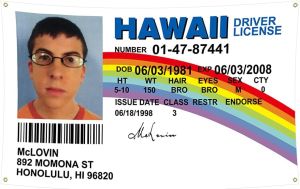 McLovin Fake ID Flag Banner （3 x 5ft）Fake Driver License Flag & One McLovin Drivers License Card for Room Decor Outdoor Parties Gift College Dorm BY LOVEON