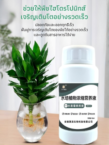 สารละลายธาตุอาหารพืชไฮโดรโปนิกส์ สารละลายธาตุอาหารเข้มข้นเพื่อส่งเสริมการเจริญเติบโตของรากสีขาว