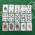 Baraha Waterproof Plastic Playing Cards With Hard Case Poker Cards CORONA playing cards. 
