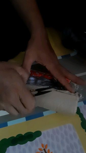 Buyer review video 2