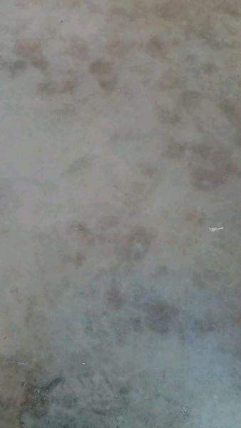 Buyer review video 5
