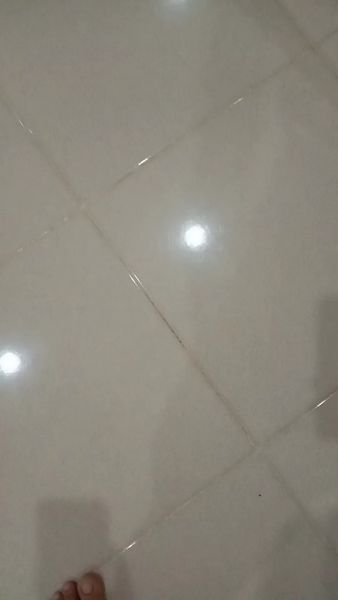 Buyer review video 2
