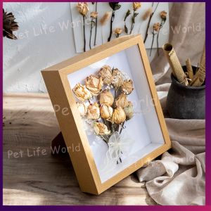 3D Photo Frame Hollow Depth 3cm for Flowers Plant Pins Medals Tickets and Photos Dispaly Shadow Box for DIY Art Crafts Display