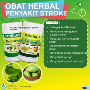 Centiloss Morici Mengatasi Setruk Stroke Syaraf Kejepit Herbal De Nature GRATIS ONGKIR