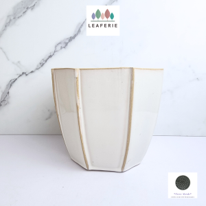 The Leaferie Venus plant pots Ceramic flowerpot flowerpots flower pot planter planters