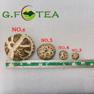 เห็ดหอม ลายญี่ปุ่นลายธรรมชาติ 200กรัมแพ็คหนึ่ง เห็ดหอมแห้งเกรดAAAAA ไซส์เล็กNo.3 ใหญ่.4NO.5 จัมโบ้No.6 อาหารแห้ง