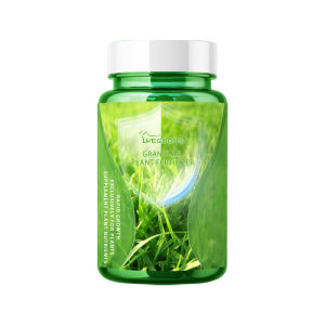 Yegbong Plant Vitality Fast Growing Enhancer Fertilizer Flower Plant Allows Promote Plant Growth Plants To Absorb Valuable Nutrients Garden Tool Plant Nutrient Solution For All Types of Plants Rooting (30g)