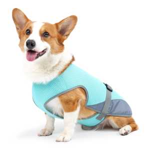 Rompi Anjing HARPO11 Baju Rompi Anti Panas Candy Pet Dog Cooling Vest