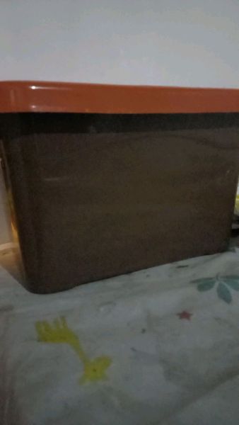 Buyer review video 2