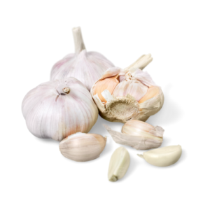 bawang putih 500
