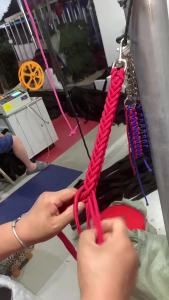 2026 Hot Sale [ Shipped from China ] Braided dog collar and leash anti-shock Pleash made of eight-strand nylon   Dog leash B3