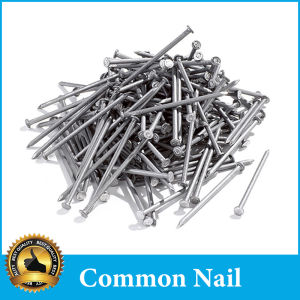 Common Wire Nail 1/1-1/2/2/2-1/2/3/4 inch Board Nails