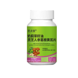 Health Care Products Energy Metabolism Glucose Regulation Nutrients Fun Medical Man Enhancement 人参葛根黄芪片