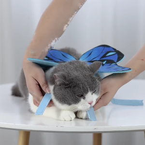 Halloween Butterfly Theme Pet Colorful Costume Kitten Cosplay Dress Up Clothes for Puppy Kitten Party Accessories