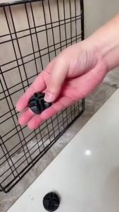 [SG] DIY  Cage Customizable Modular Iron Mesh with Gate Animal Playpen  Fence DIY Cage